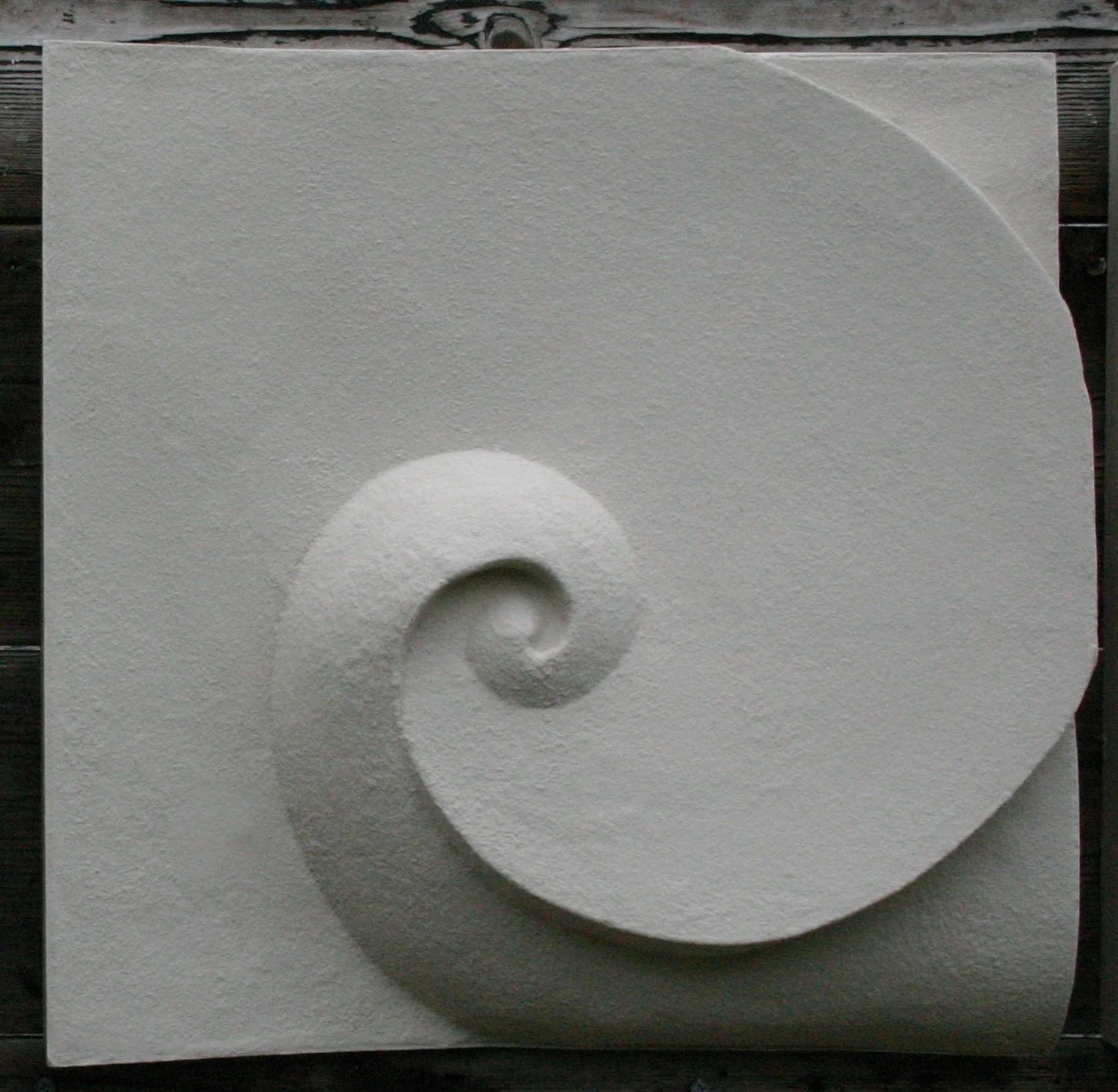 White Wave and Moonshadow 1 spiral relief photographed against a dark wall.