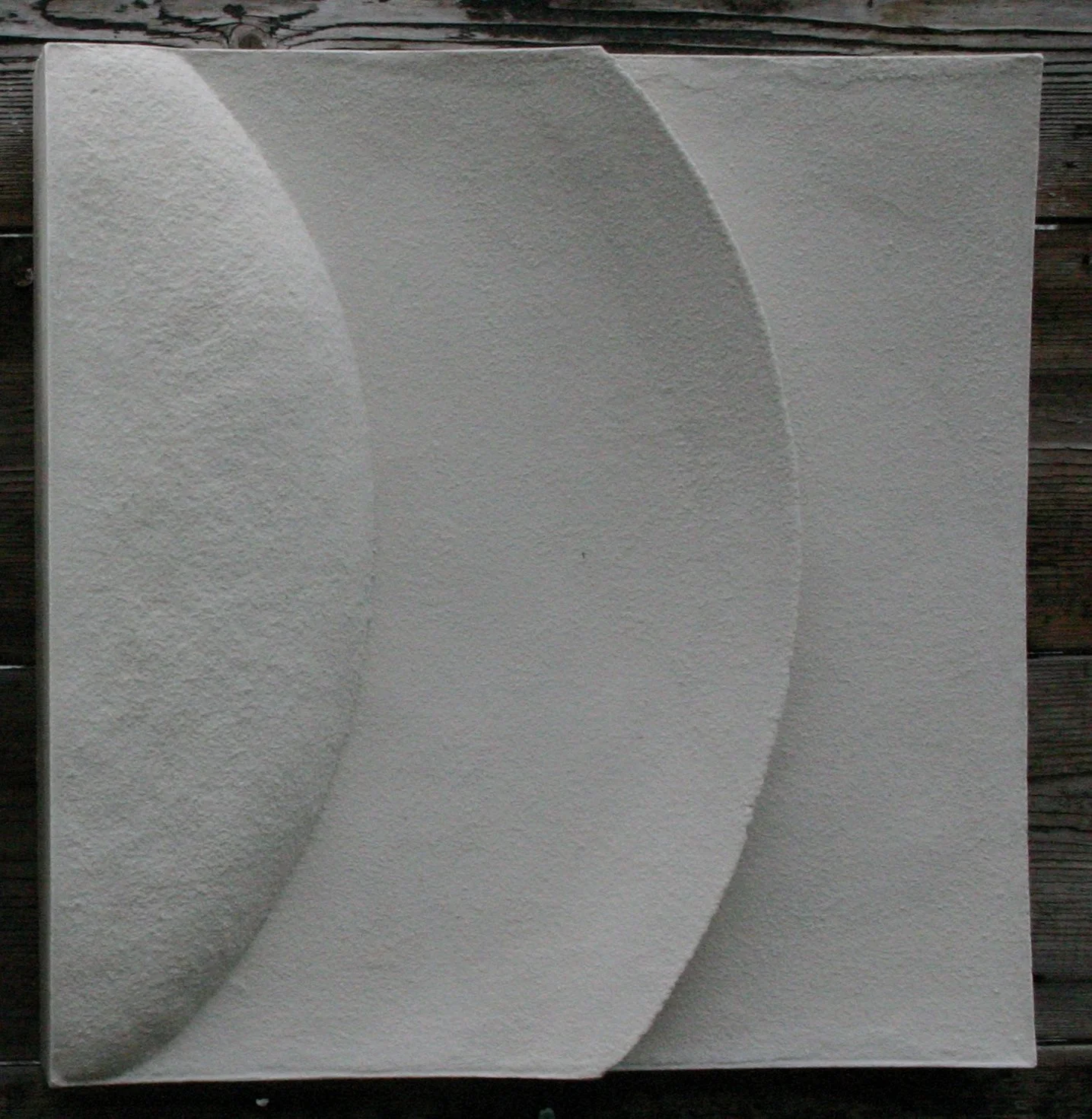 White Wave and Moonshadow 2 relief in reversed orientation against a dark wall.
