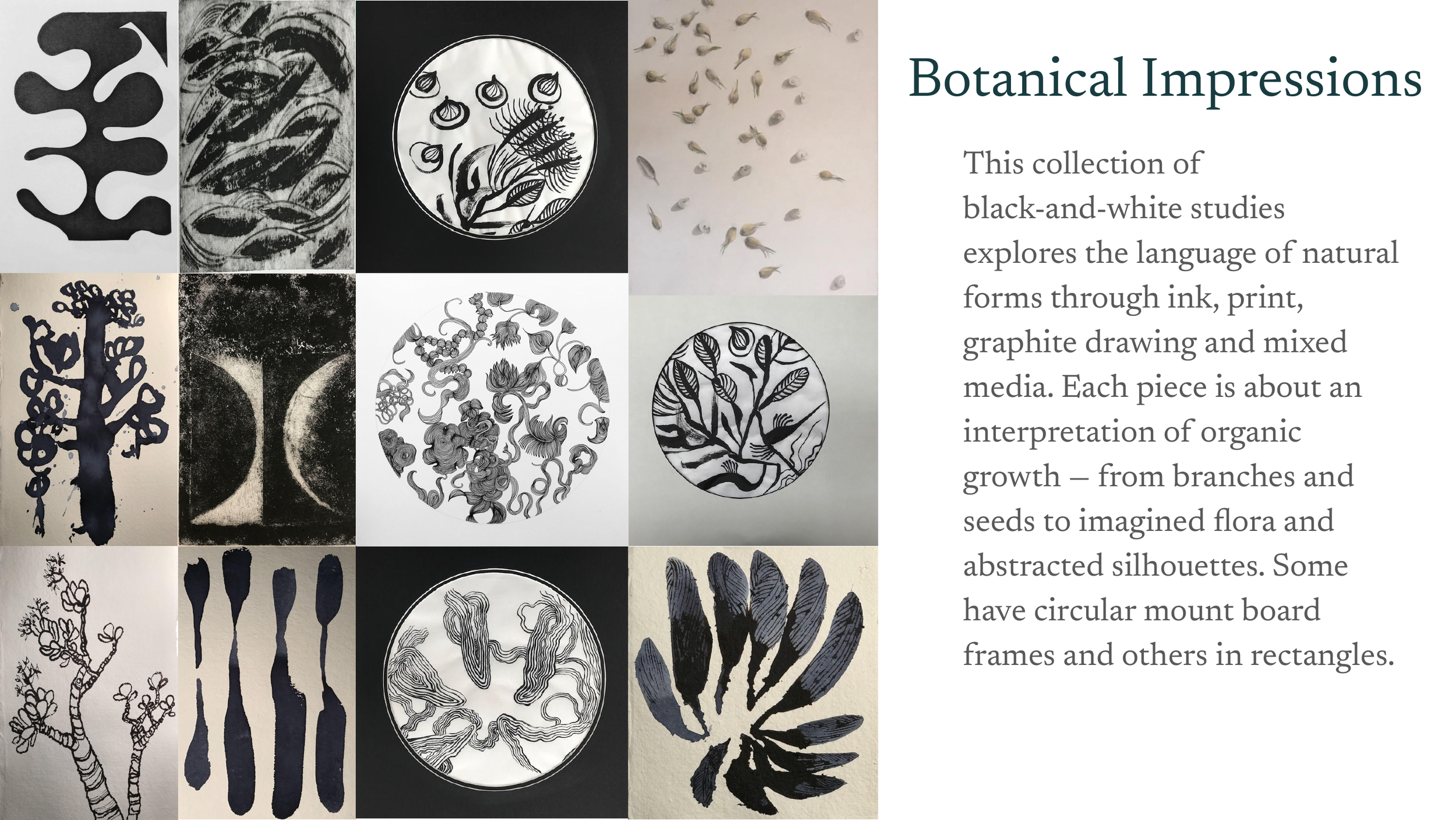 A collage of black-and-white studies featuring various organic forms, including abstract botanical imprints, ink and graphite drawings of trees, leaves, and flora, with some images in circular or rectangular frames.