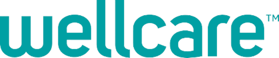 Close-up of the Wellcare logo in teal on a white background.