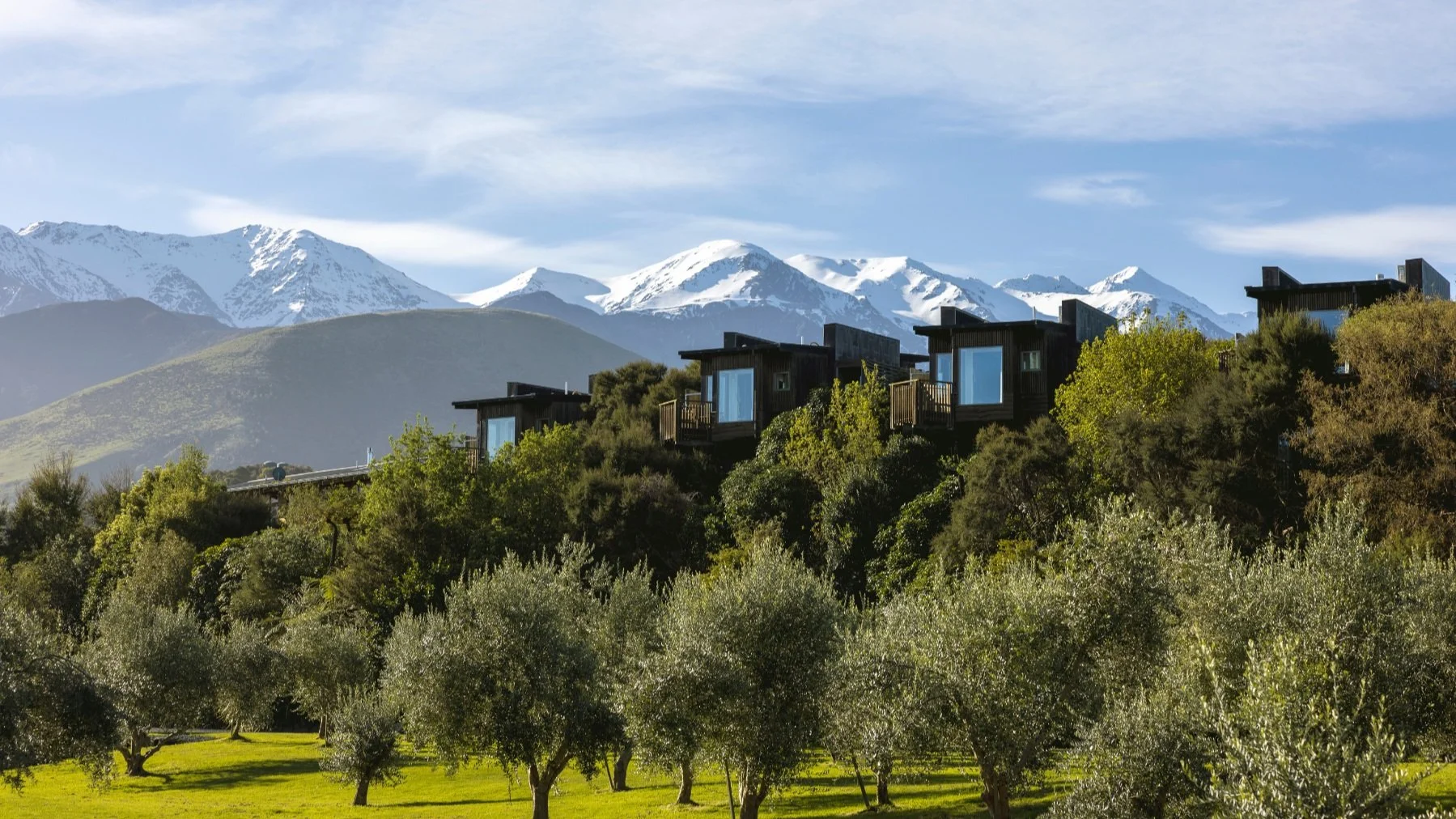  A stay in one of Hapuku Lodge’s tree houses makes for a unique experience. Image source: Miles Holden 