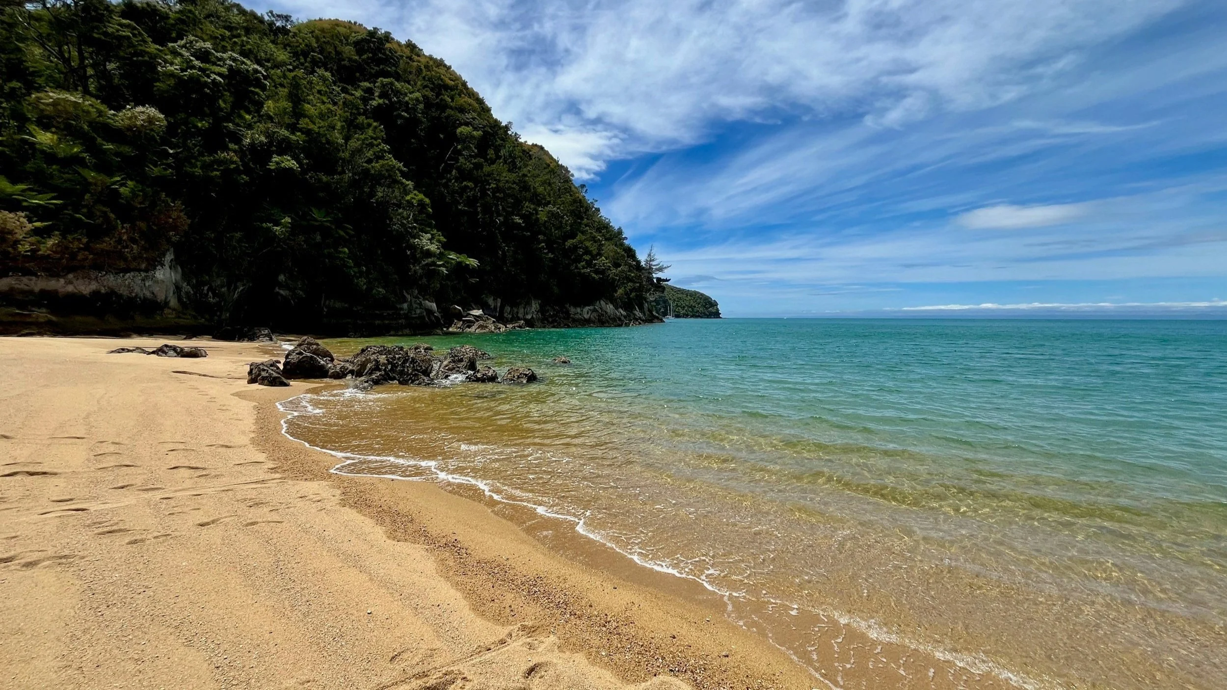  The coastal track of Able Tasman can also be done in sections if you’re short on time. 