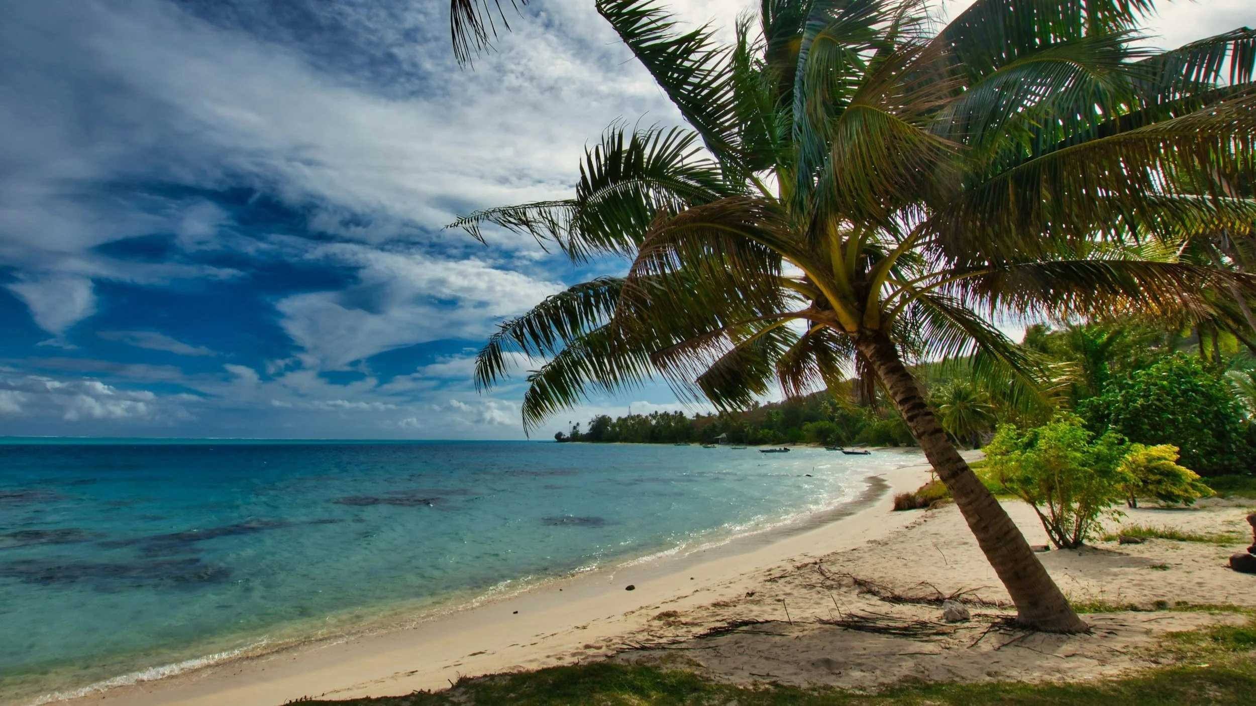  Relax in a tropical paradise. 