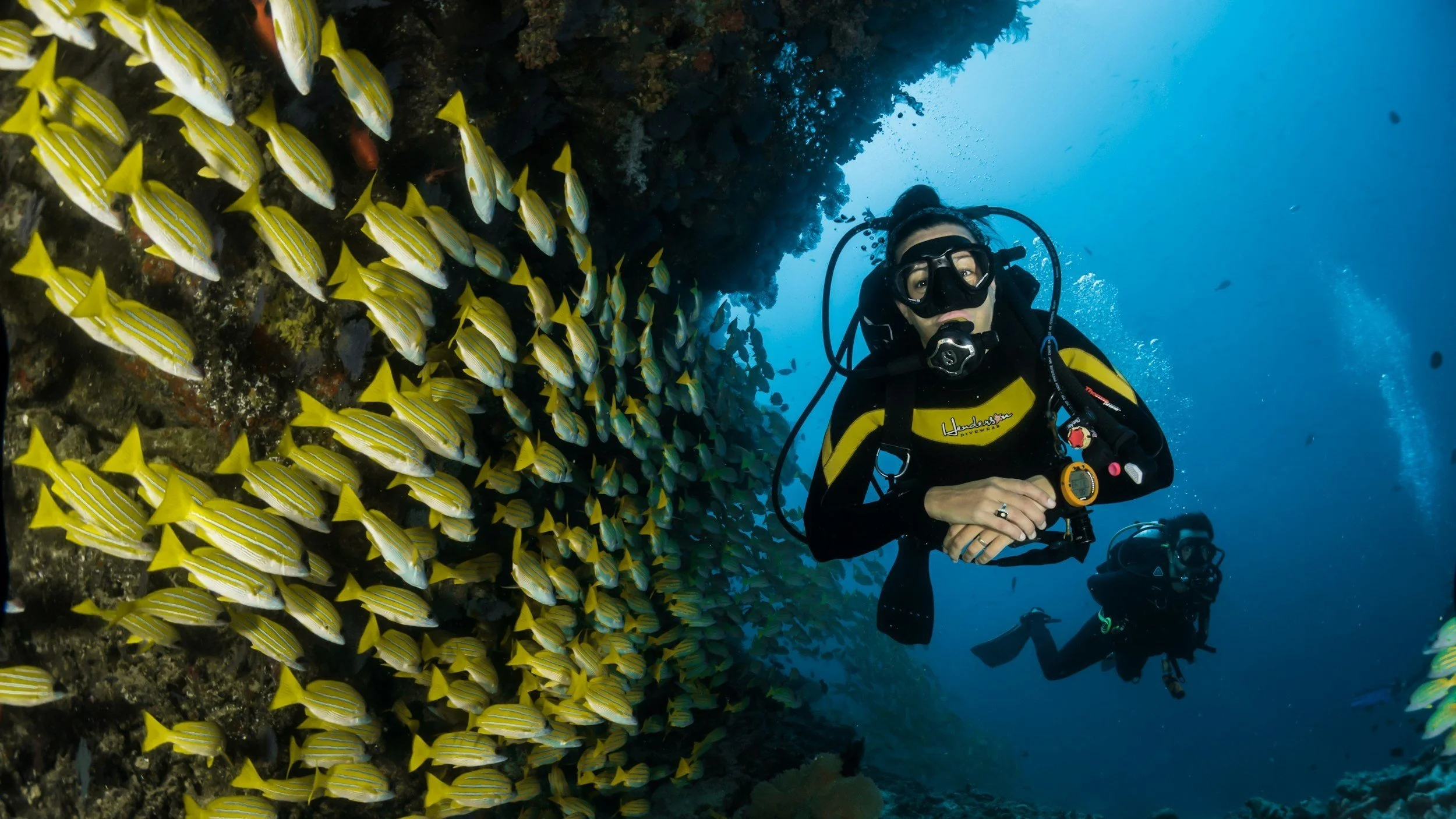  Create unique honeymoon memories below the surface. 
