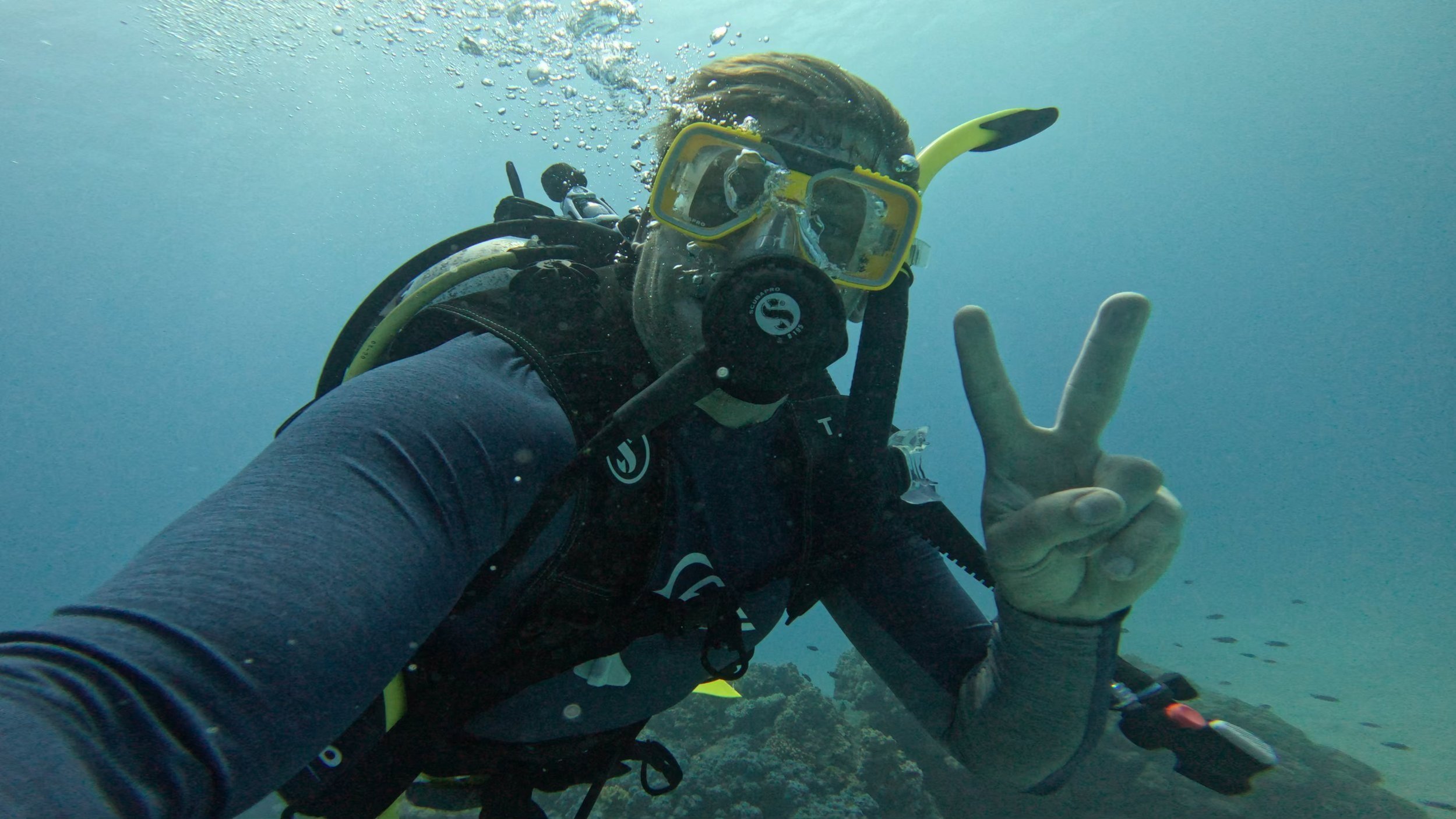   Customized travel revolves around you!  