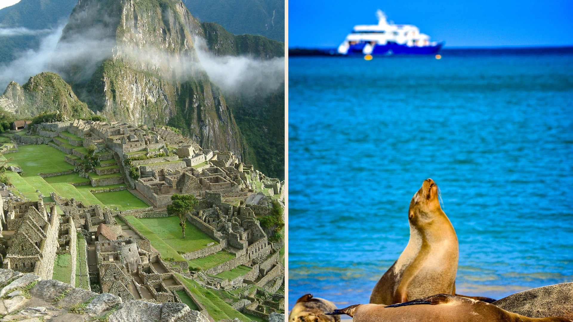  Blend historic cultures and unique wildlife with a visit to Peru and Ecuador. 