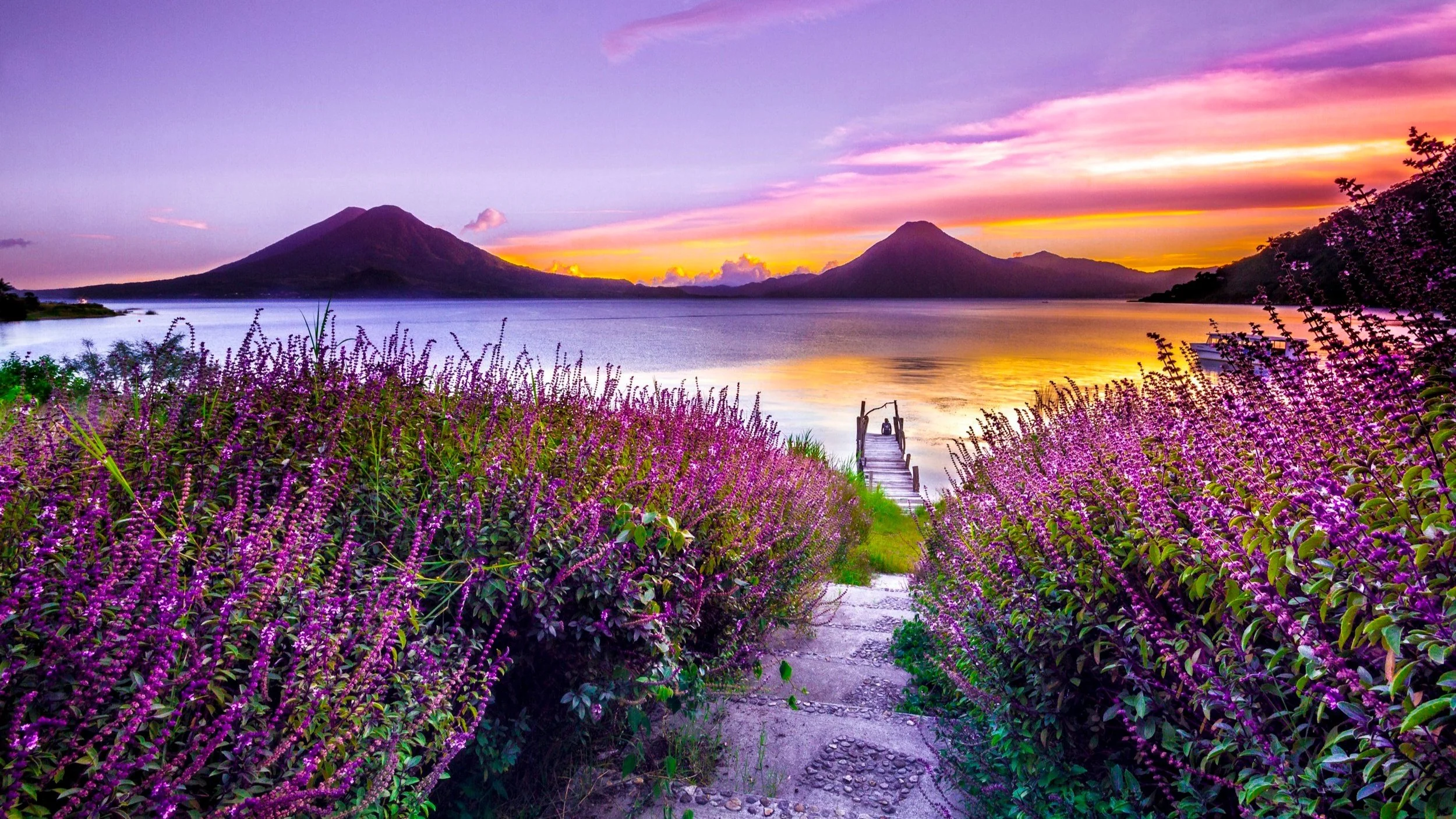  Create your ideal adventure with Taylor. 