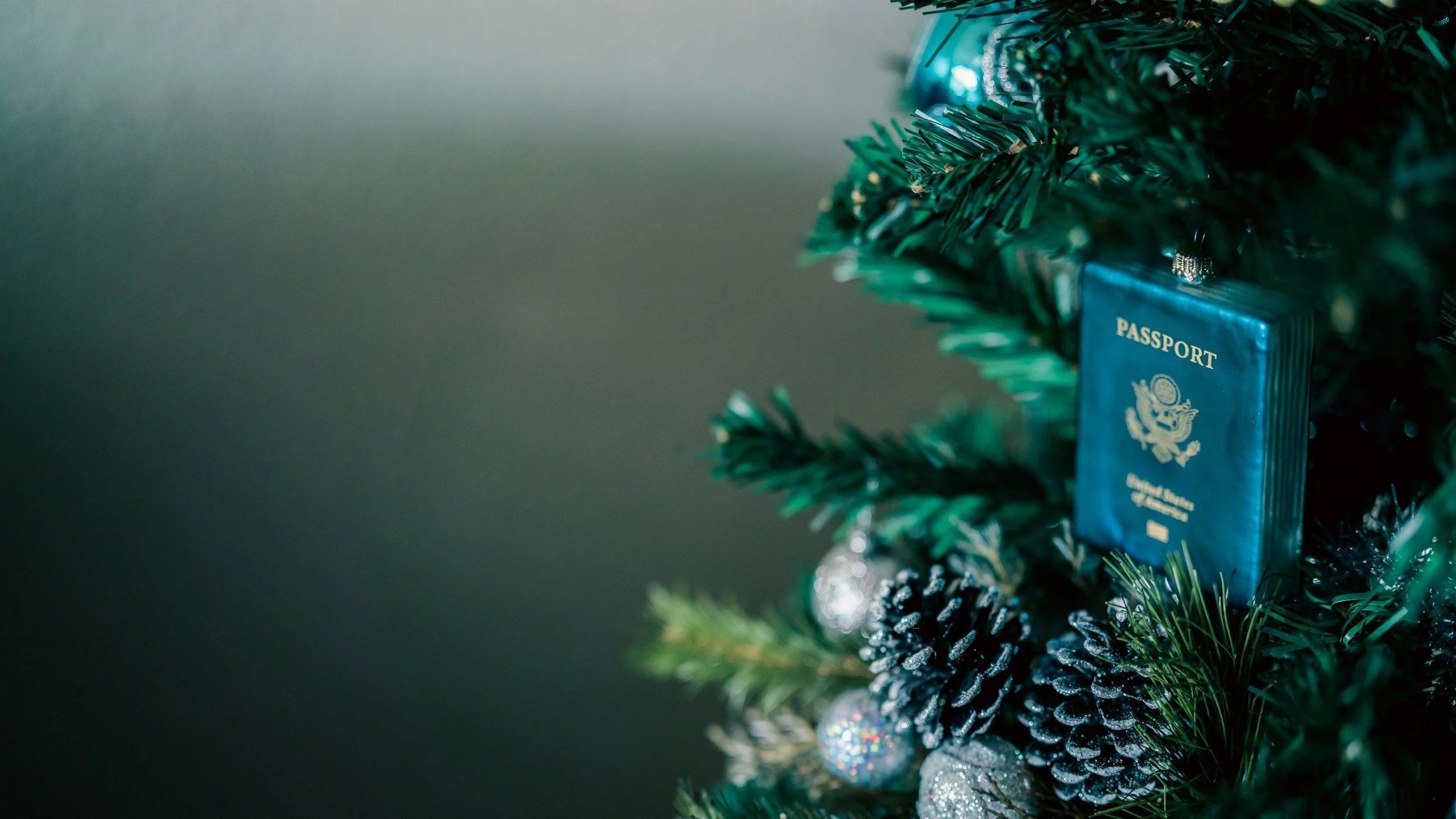  Travel essentials and accessories make perfect holiday gifts.  