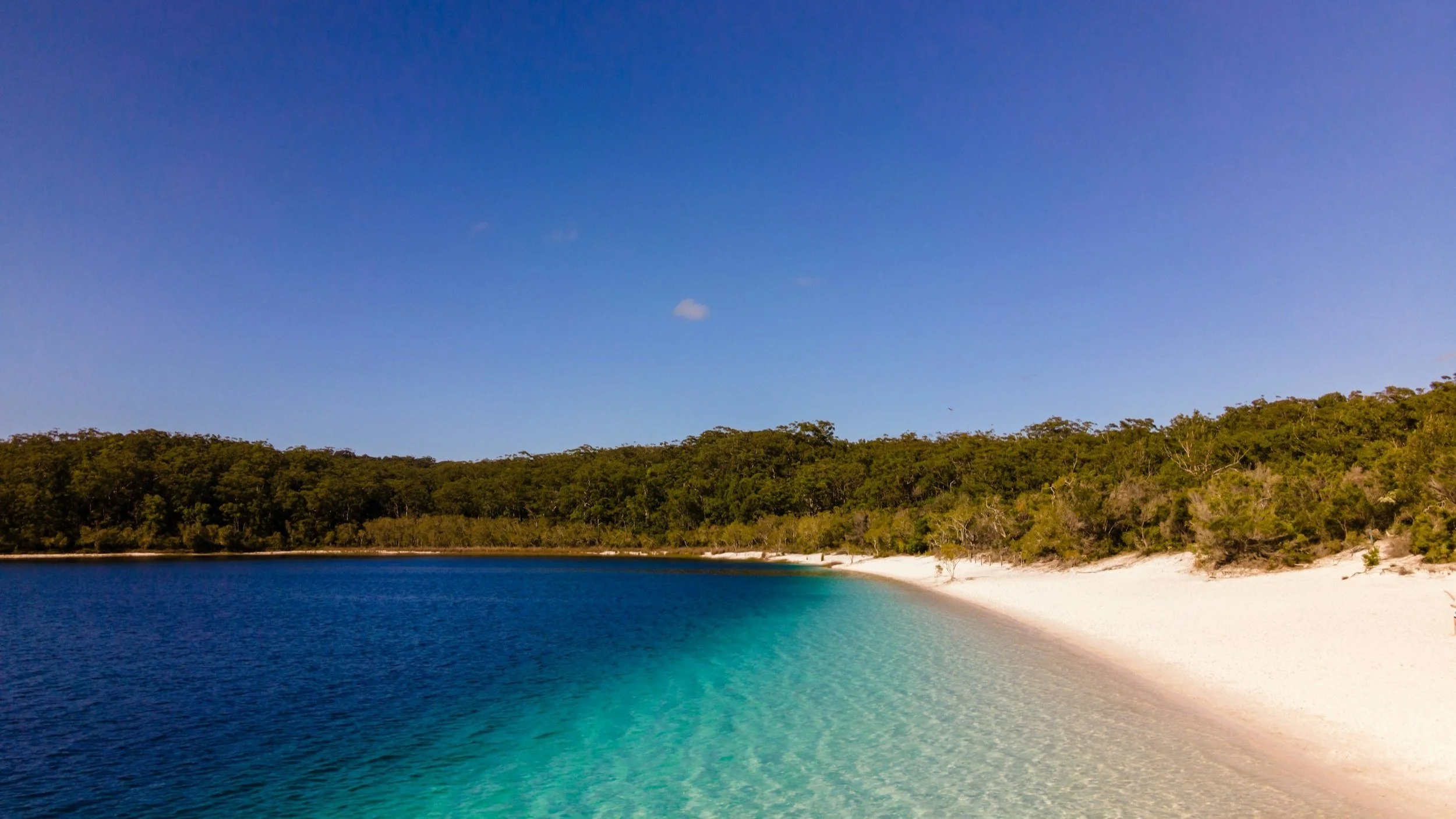  Queensland offers stunning beaches and lush rainforest experiences.  
