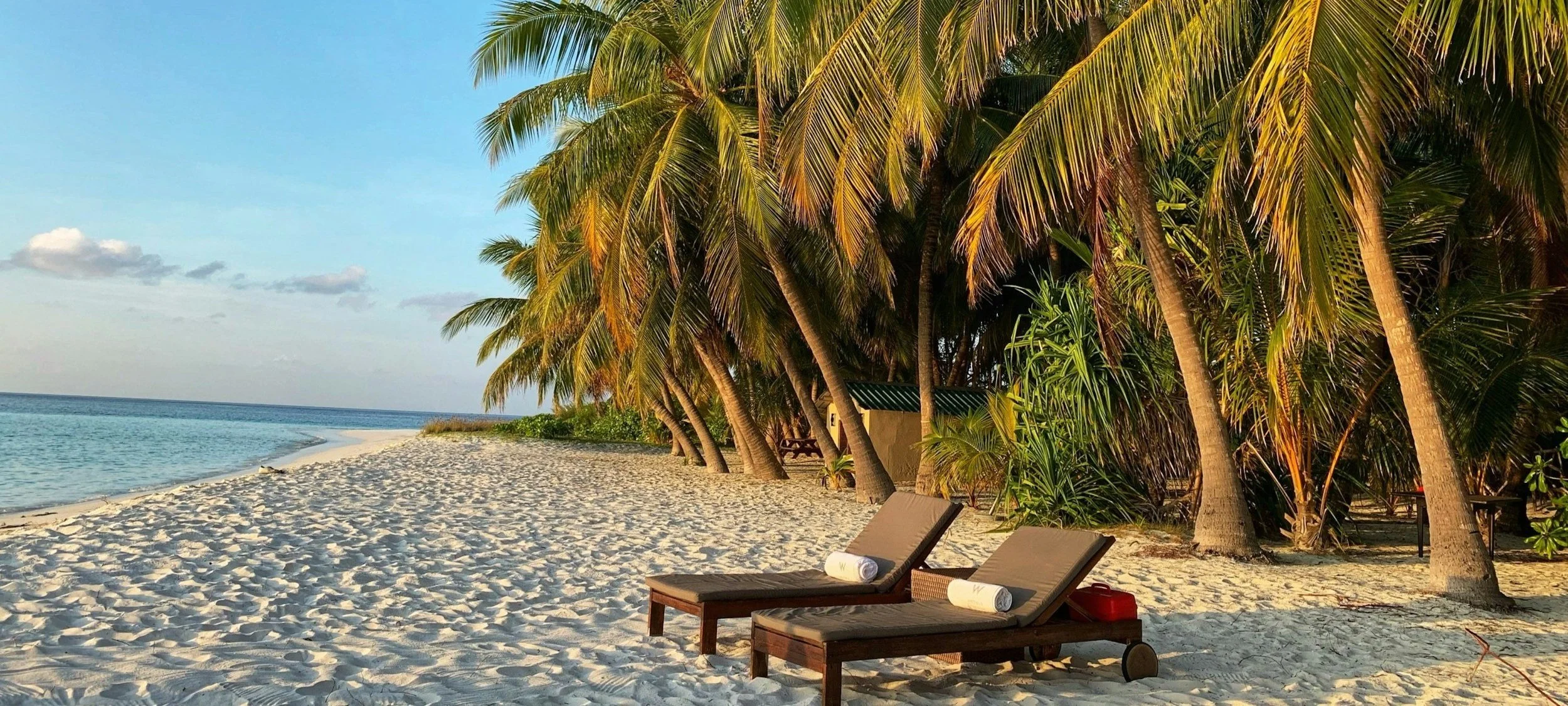  Warm tropical beaches await you for your ideal honeymoon. 