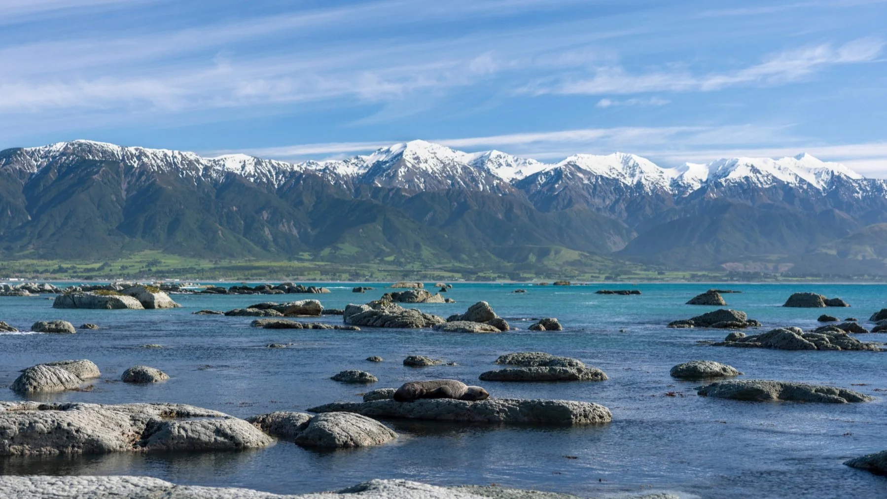 The mountains meet the sea in Kaikoura. Credit: Miles Holden 