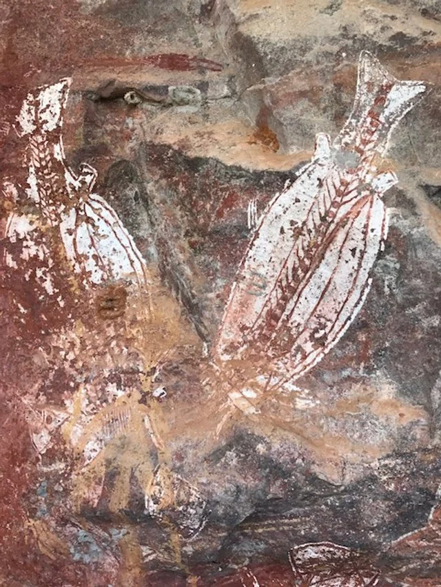  Aboriginal art can be found within Nitmiluk. 