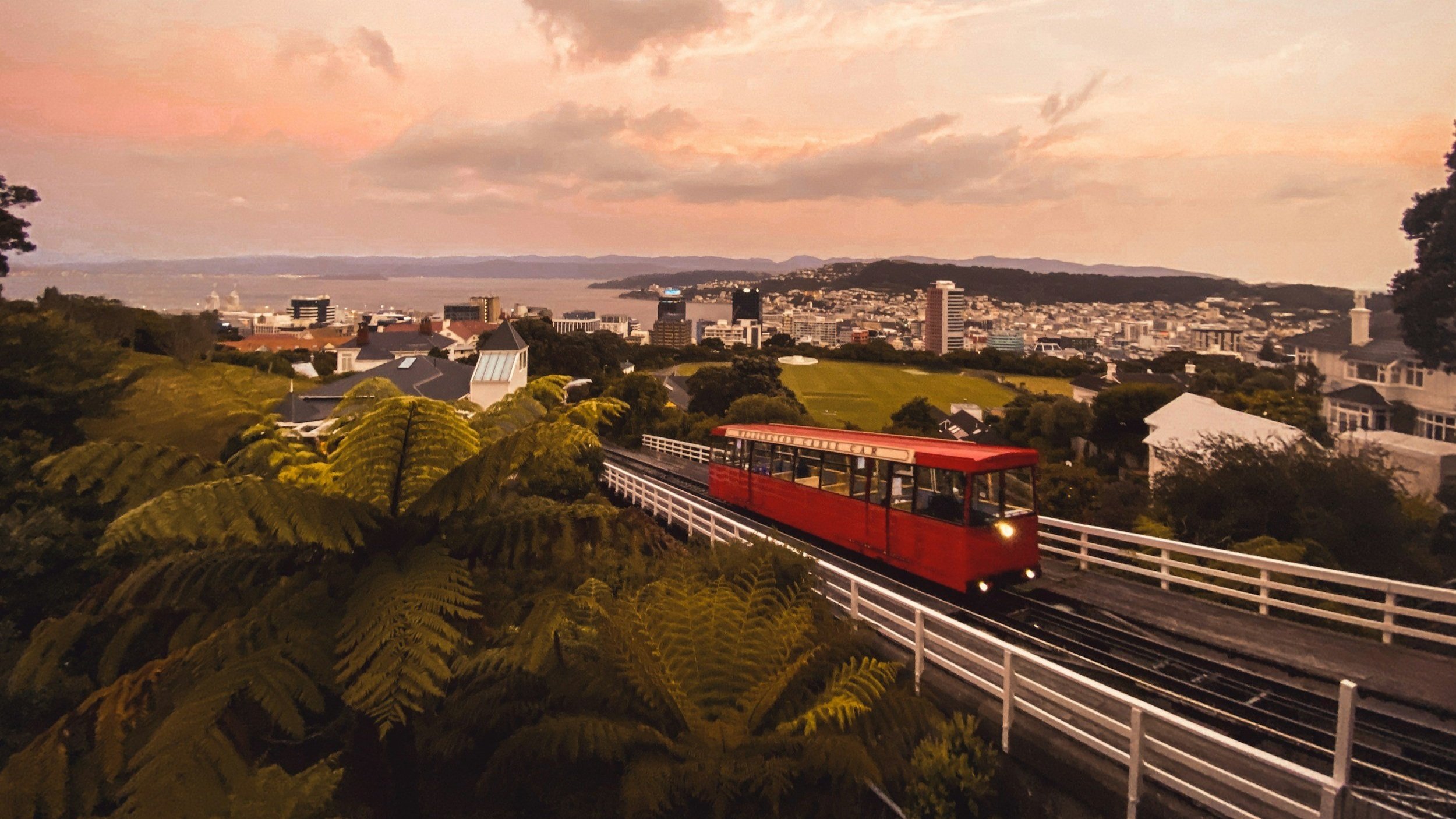  Ride the cable car in Wellington for stunning views of the area. 