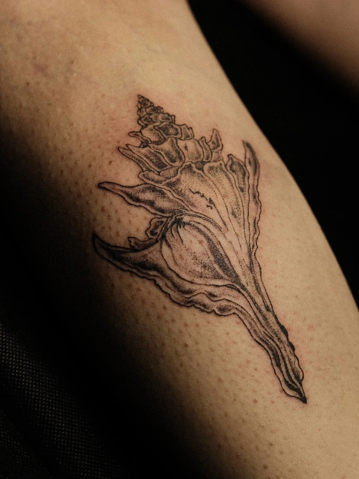 it’s perfect! loving this one done by @merryinky! π