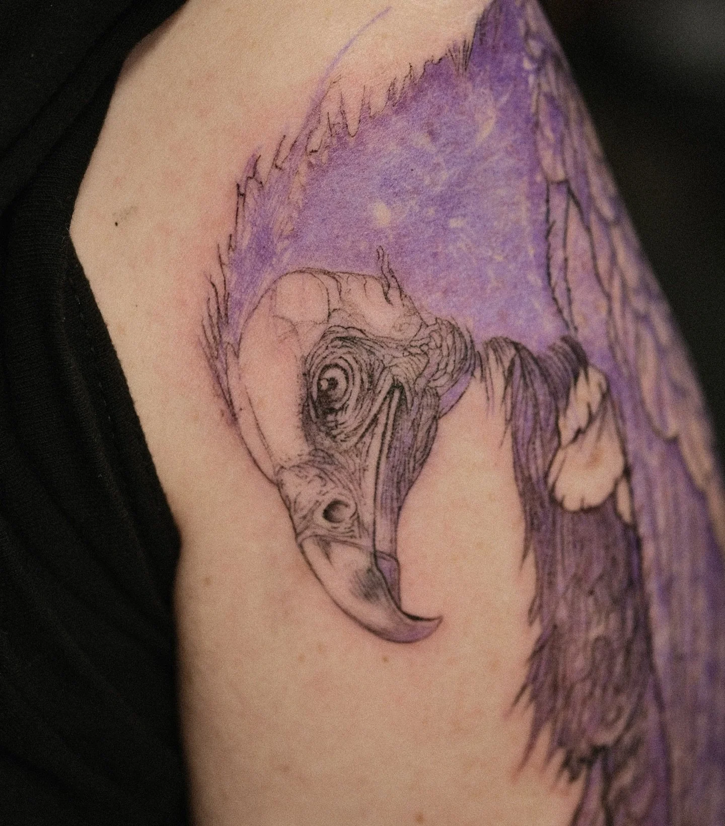 WIP vulture is looking awesome! by @neillogantattoos