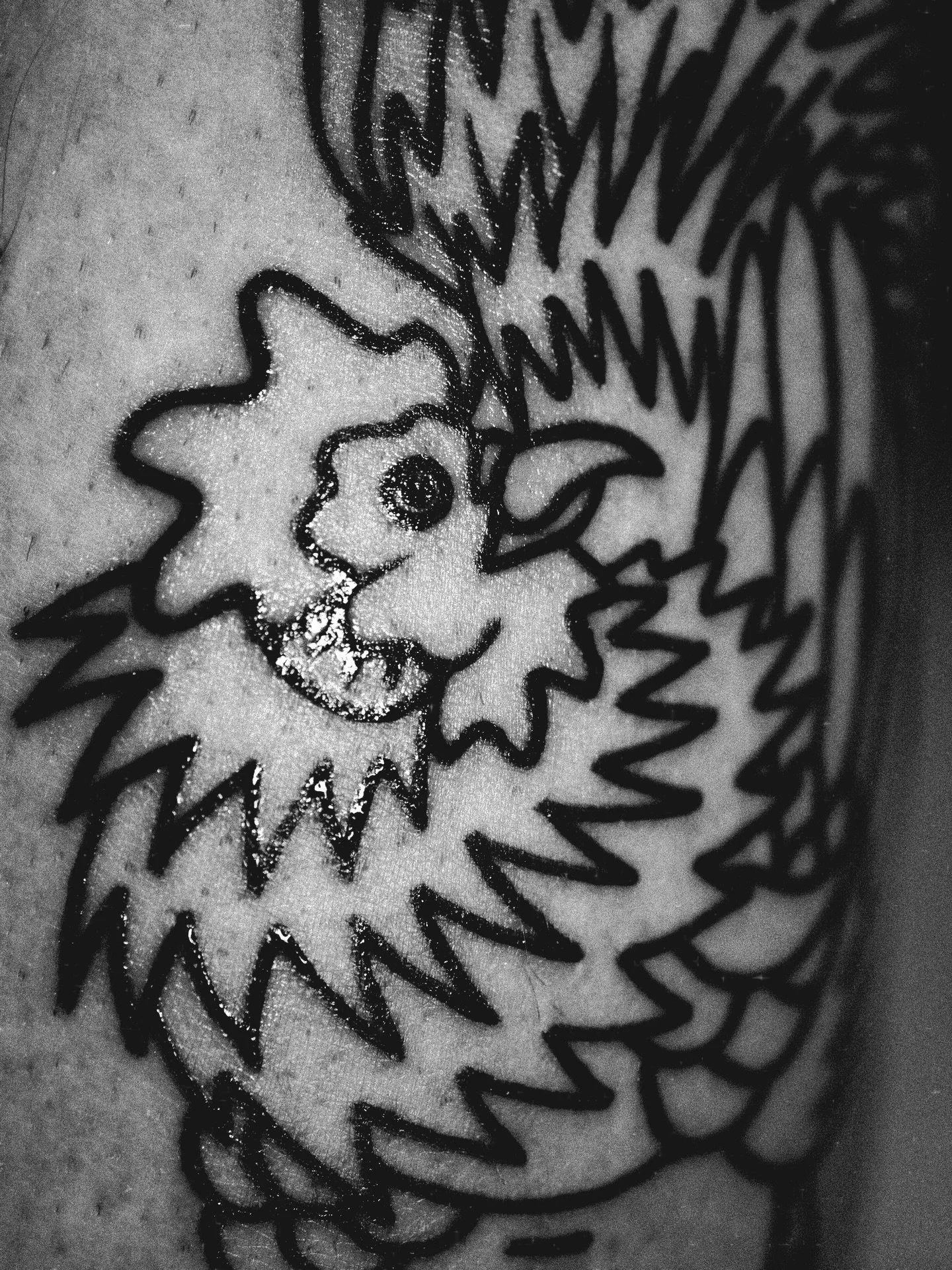 some bold chicken outlines by @iamdobsy 🧼