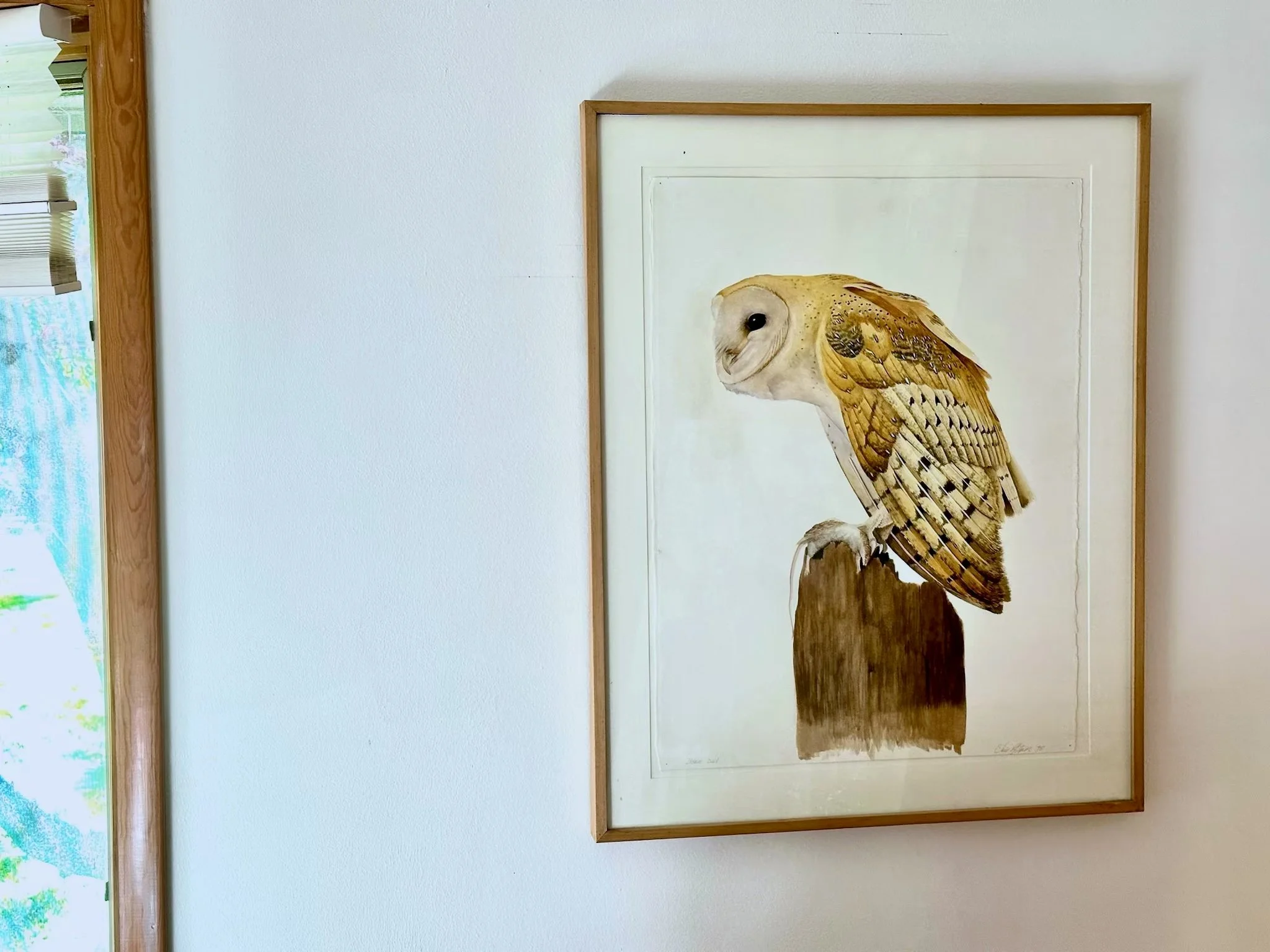 Chris Pfister, Barn Hawk, watercolor on paper, on view at Contemporary Western Arts in Cody, Wyoming.