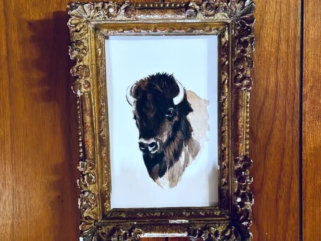 A watercolor of a small bison by Contemporary artist Juliette Dumas