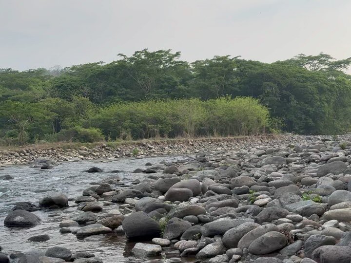 Fondo entre gigantes centenarios, r&iacute;os frescos y buenos amigos! 🙌🏽🌳🌺🍃🪶
