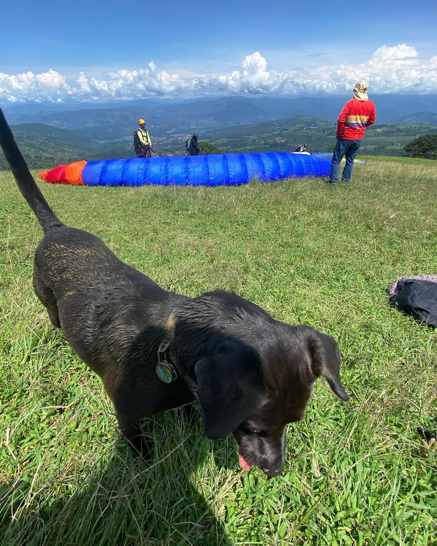Ma&ntilde;anas de vuelo y bo&ntilde;igas en la pastora 🐶💩🌋