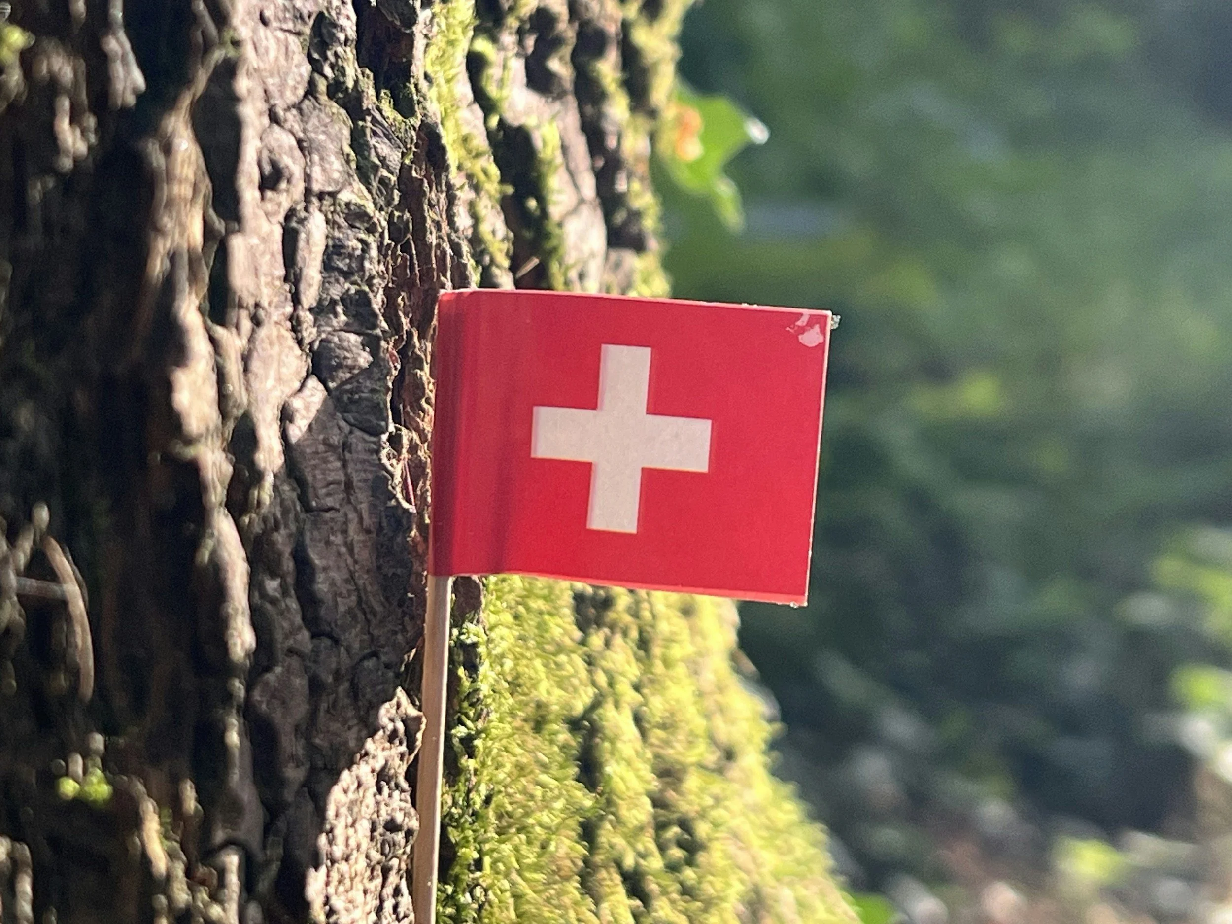 Your Mental Health First Aid Kit: Essential Distress Tolerance Tools for Overwhelming Moments