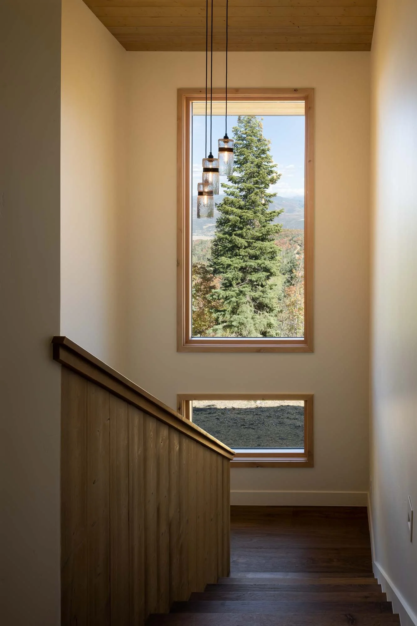 20250916 Forest Meadow -24 social media size.jpg