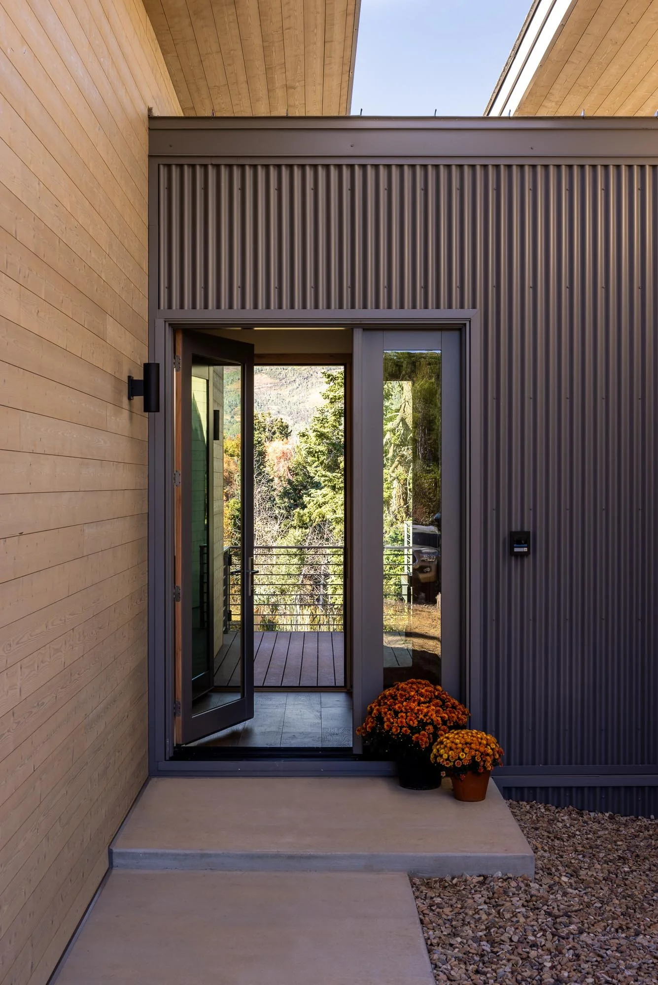 20250916 Forest Meadow -2 social media size.jpg