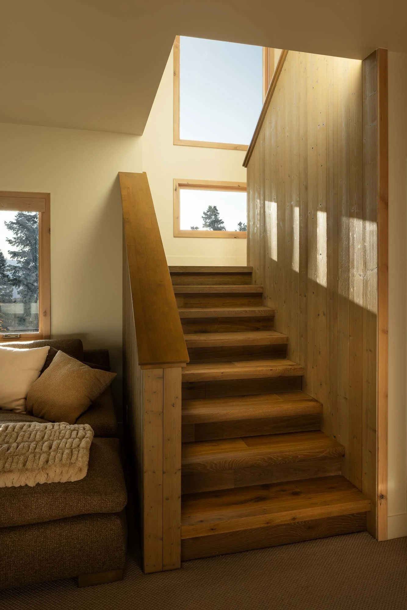 20250916 Forest Meadow -29 social media size.jpg