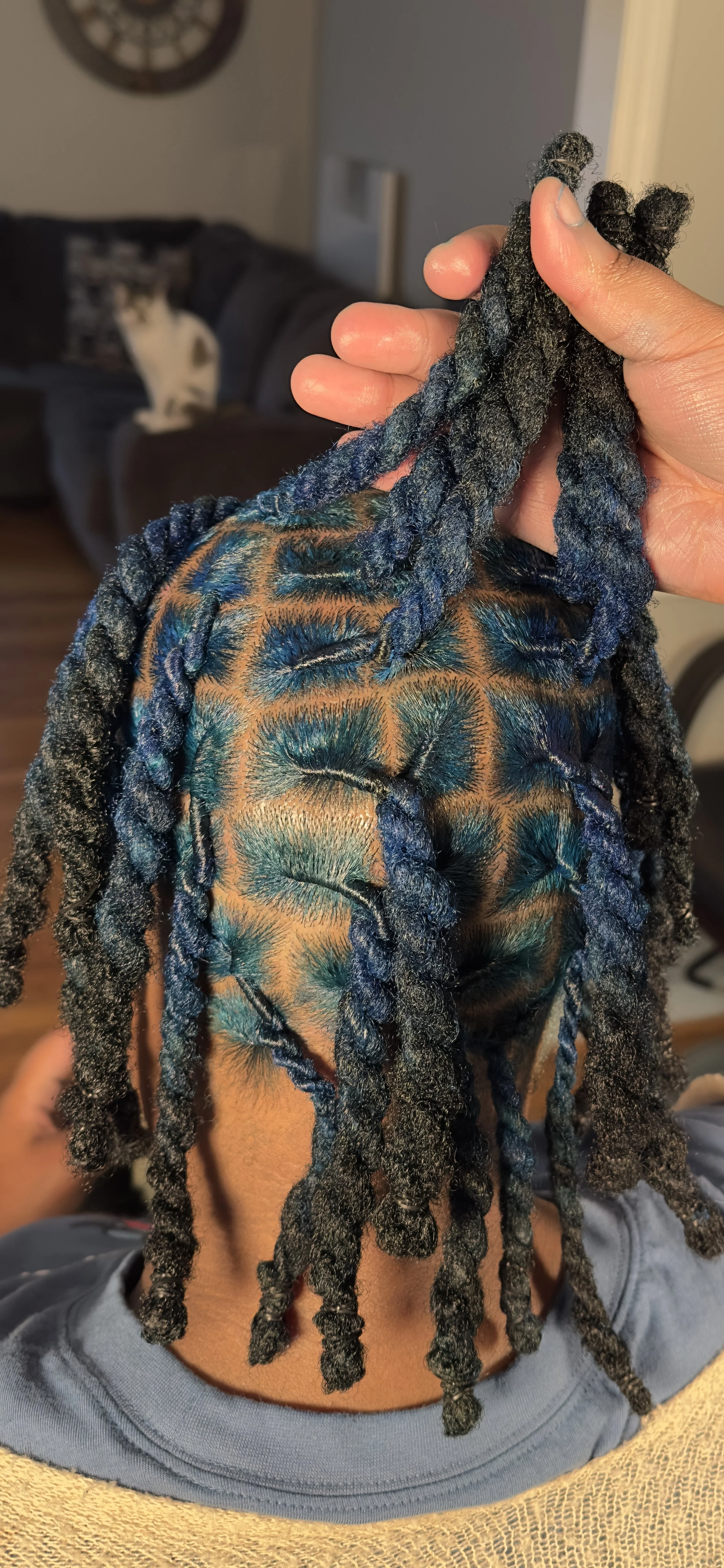 A person with short, twisted locks of hair being held up with one hand, showing the back of their head. The person is sitting in a kitchen area.