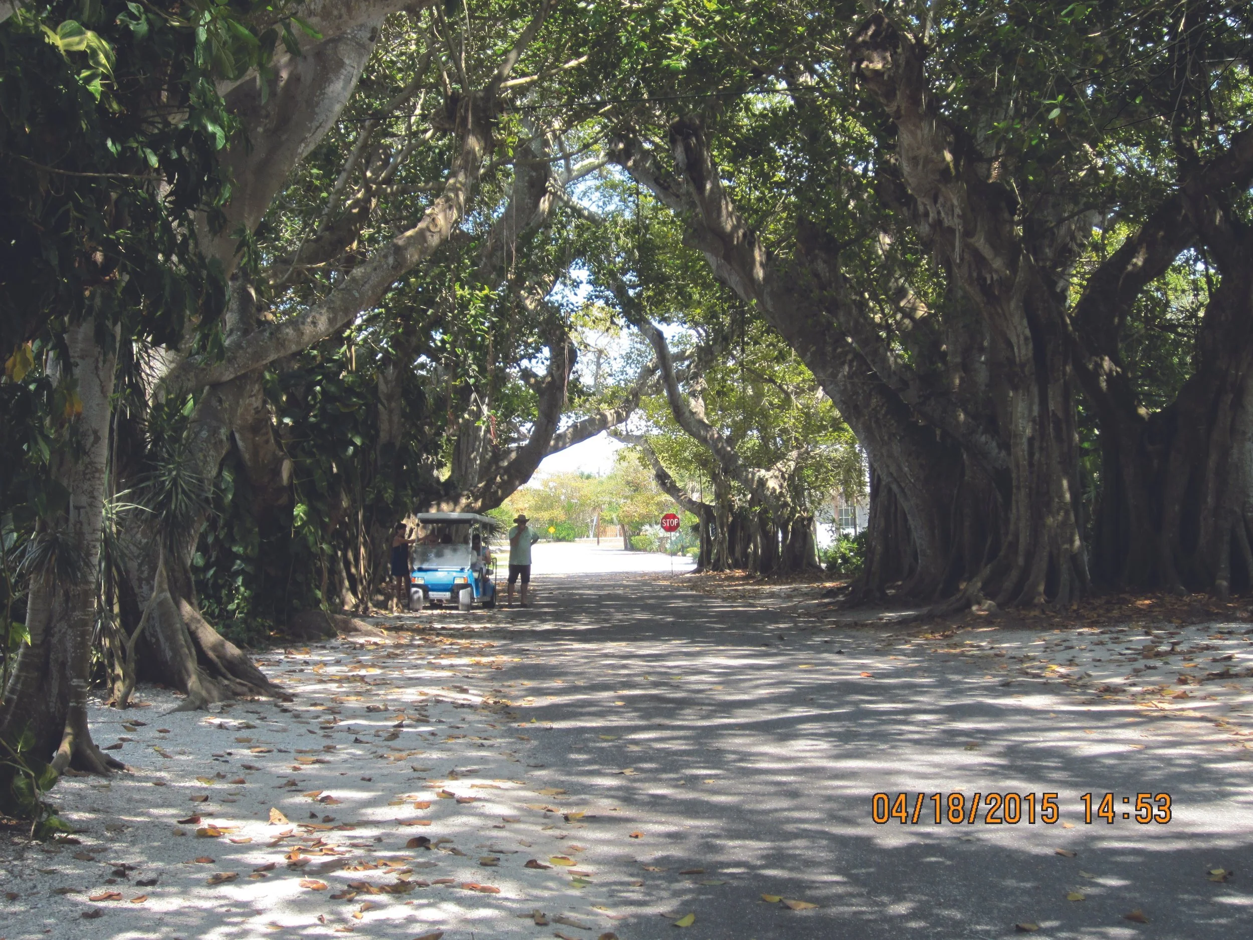 Banyon Street on Gasparilla Island.JPG
