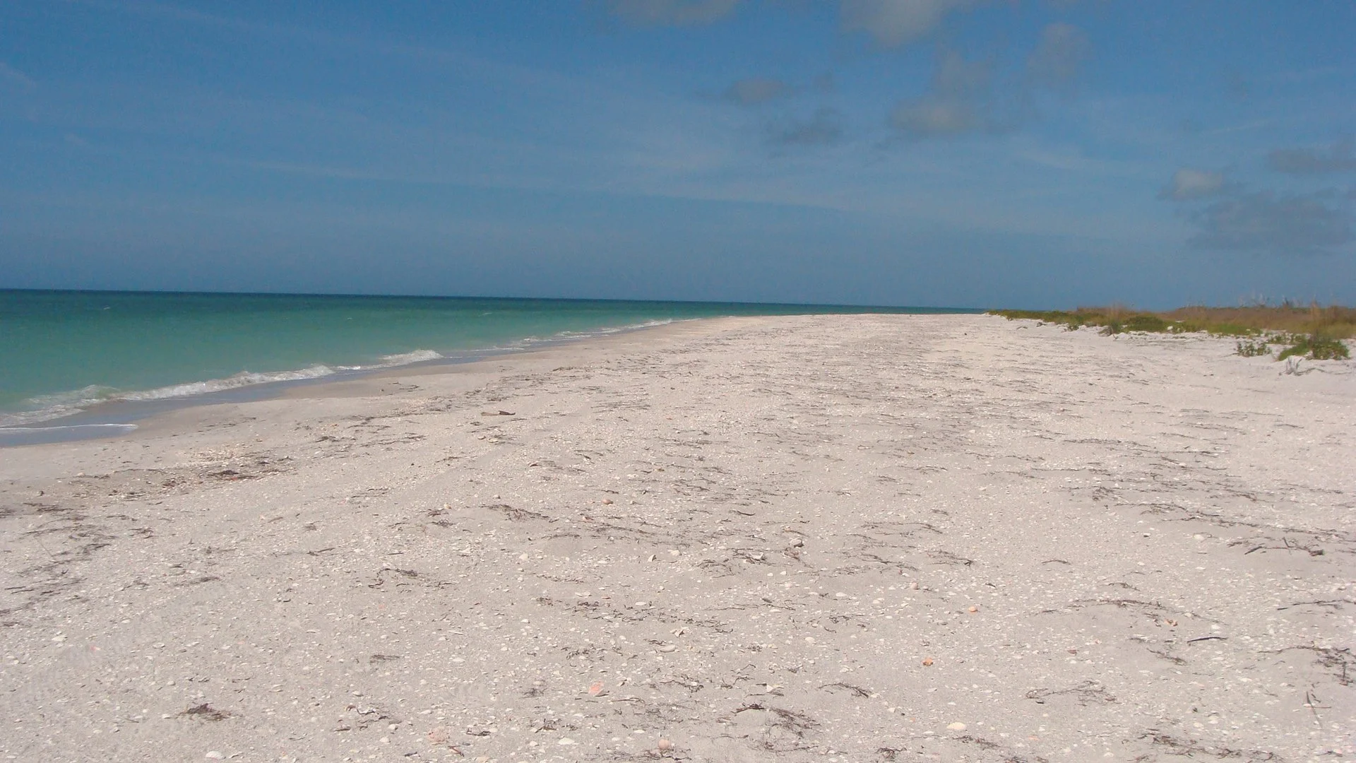 Cayo Costa beach.JPG