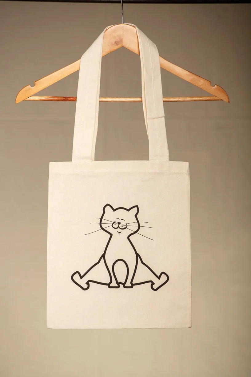 Basica P  Gato 1 cor.jpg