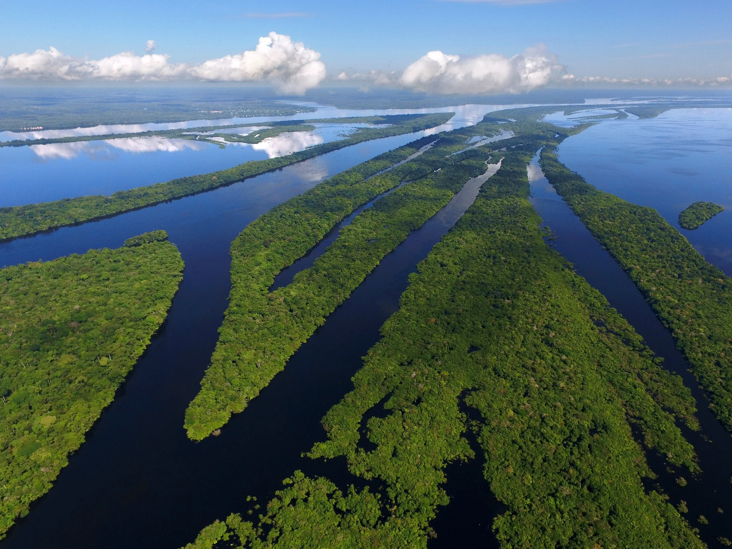 Flying Rivers Hold the Key to the Amazon’s Tipping Point, New Report Reveals