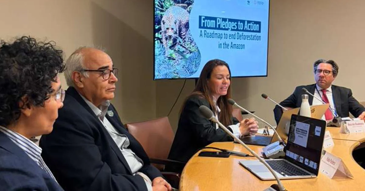 Amazon nearing tipping points: experts and civil society call for its inclusion in the global roadmap to halt deforestation at UNFF21