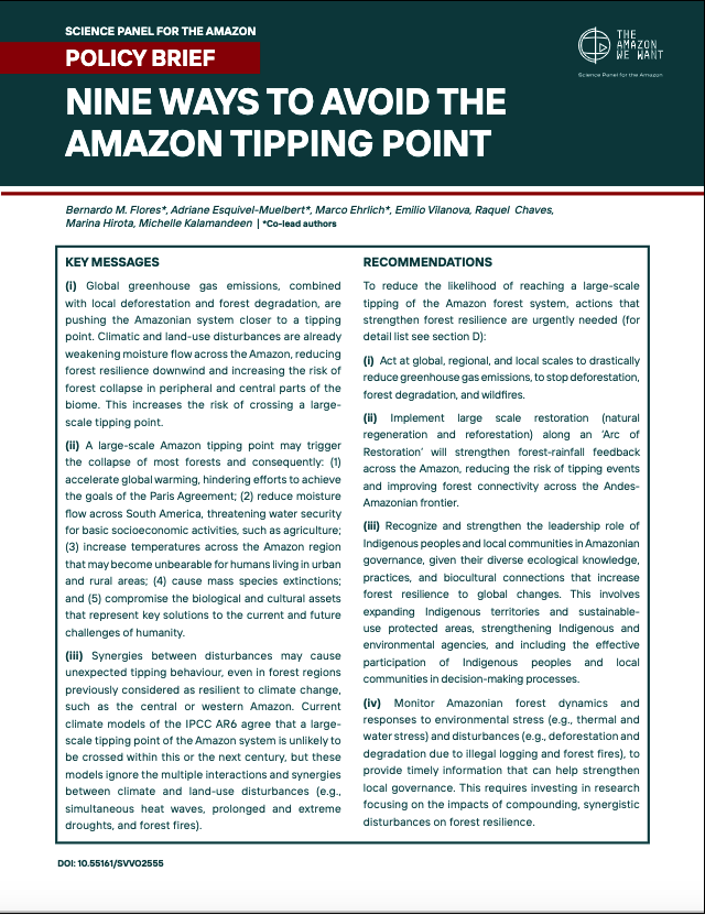 Publications — Science Panel for the Amazon