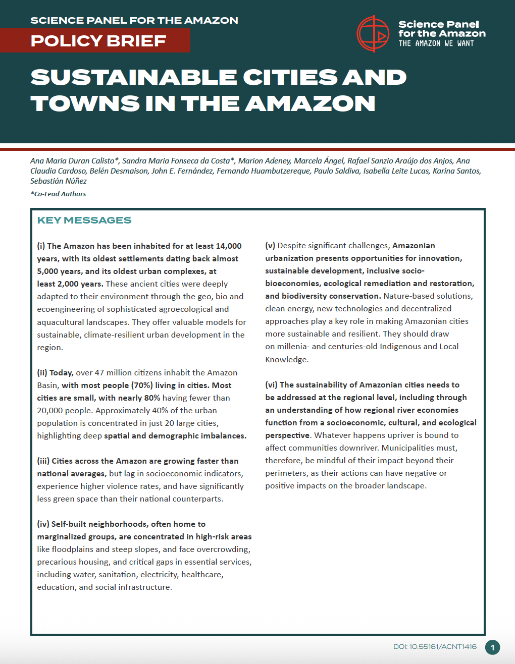 Science Panel for the Amazon