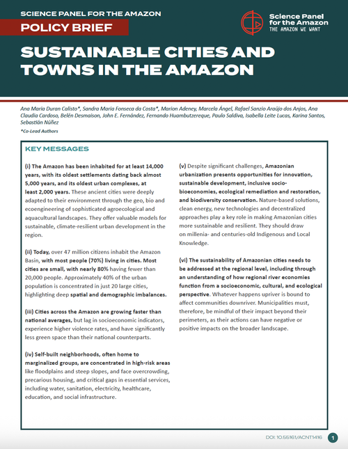 Science Panel for the Amazon