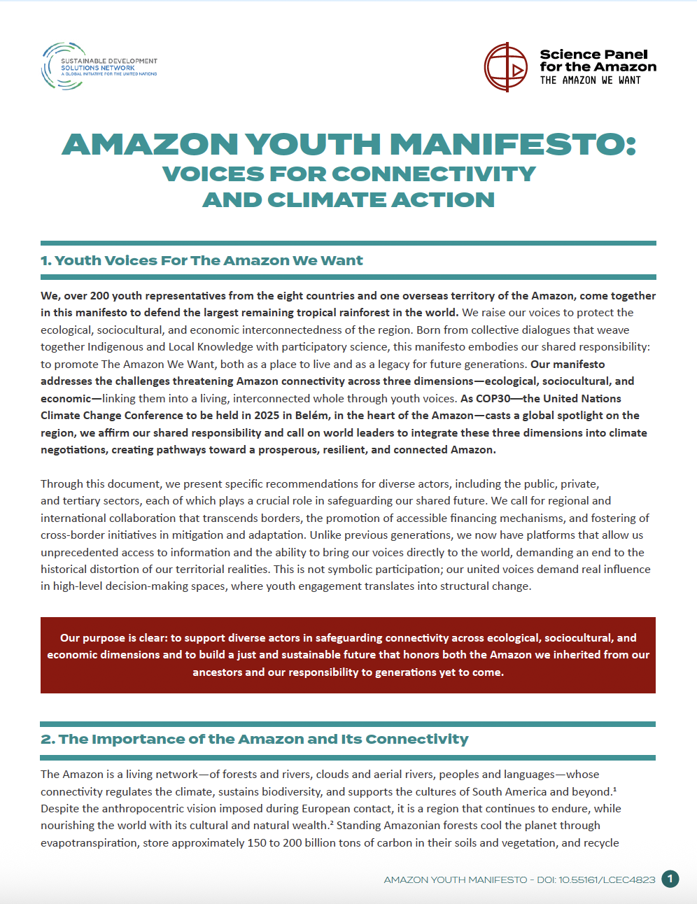 Science Panel for the Amazon