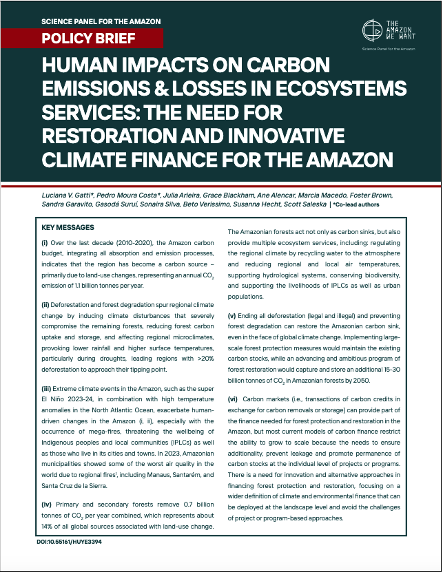 Publications — Science Panel for the Amazon