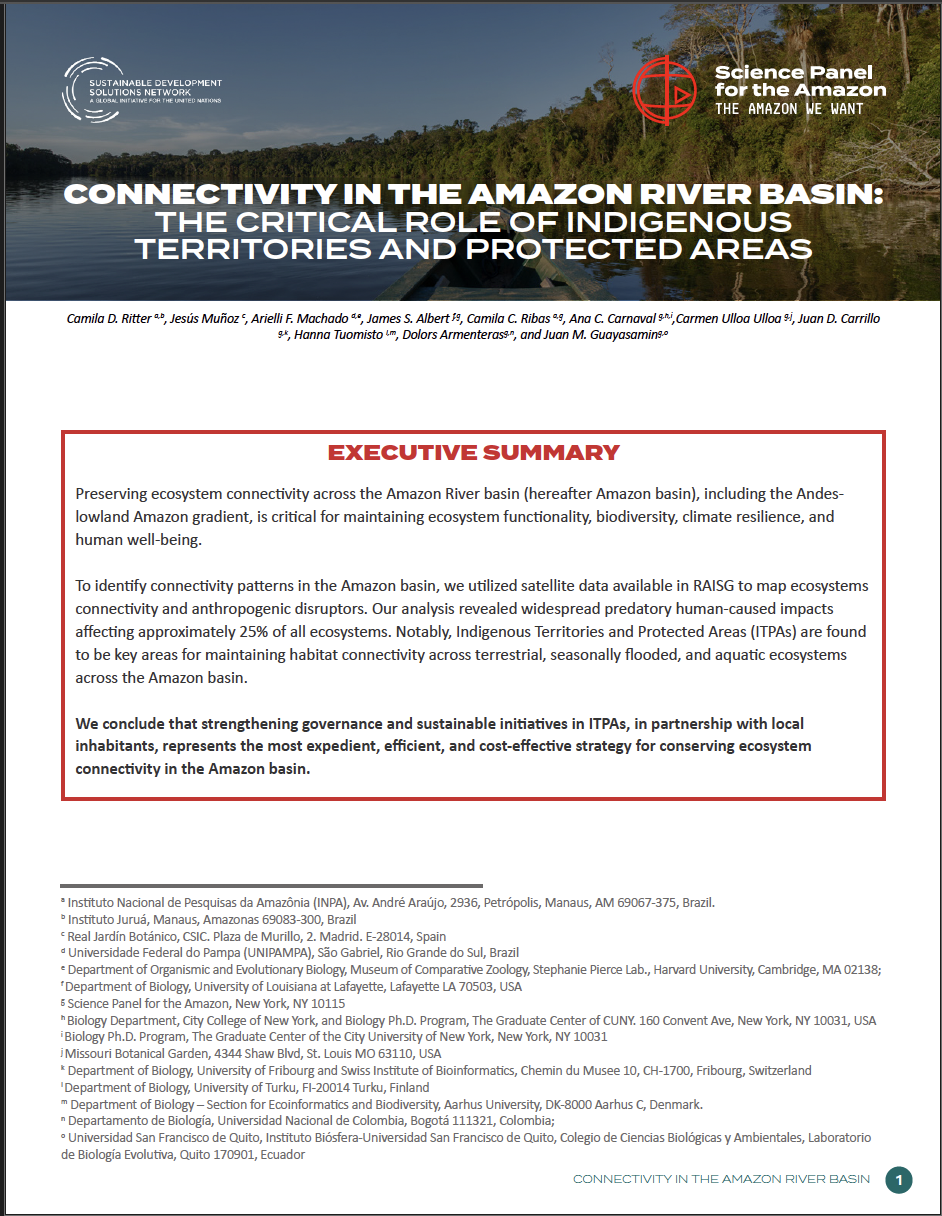 Science Panel for the Amazon