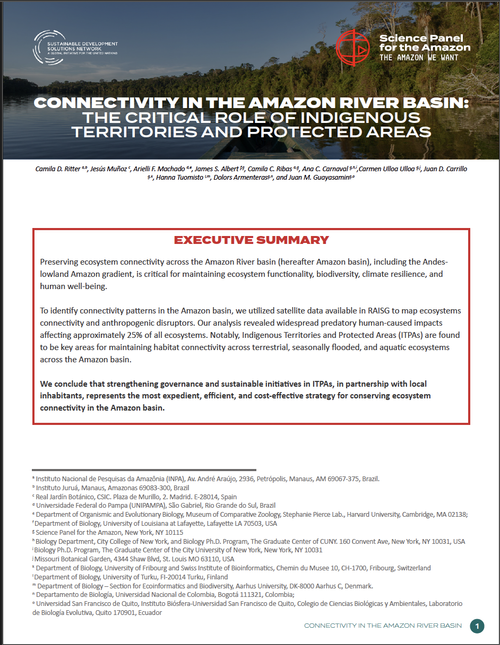 Science Panel for the Amazon