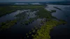 Science Panel for the Amazon