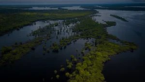 Science Panel for the Amazon