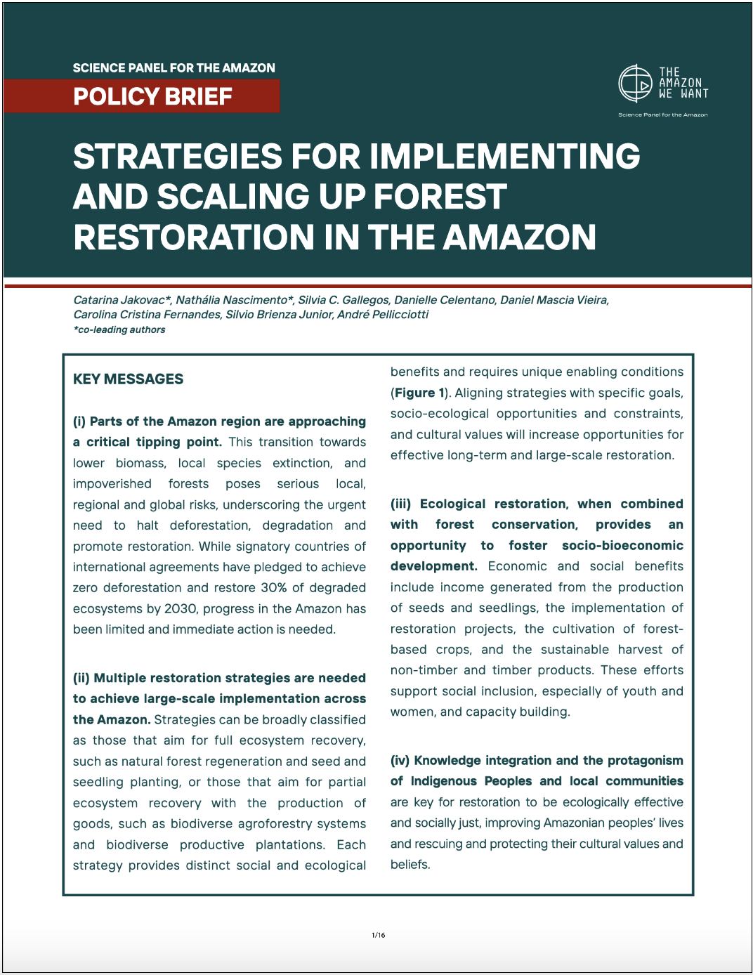 Science Panel for the Amazon Restoration Policy Brief