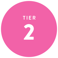 Tier 2