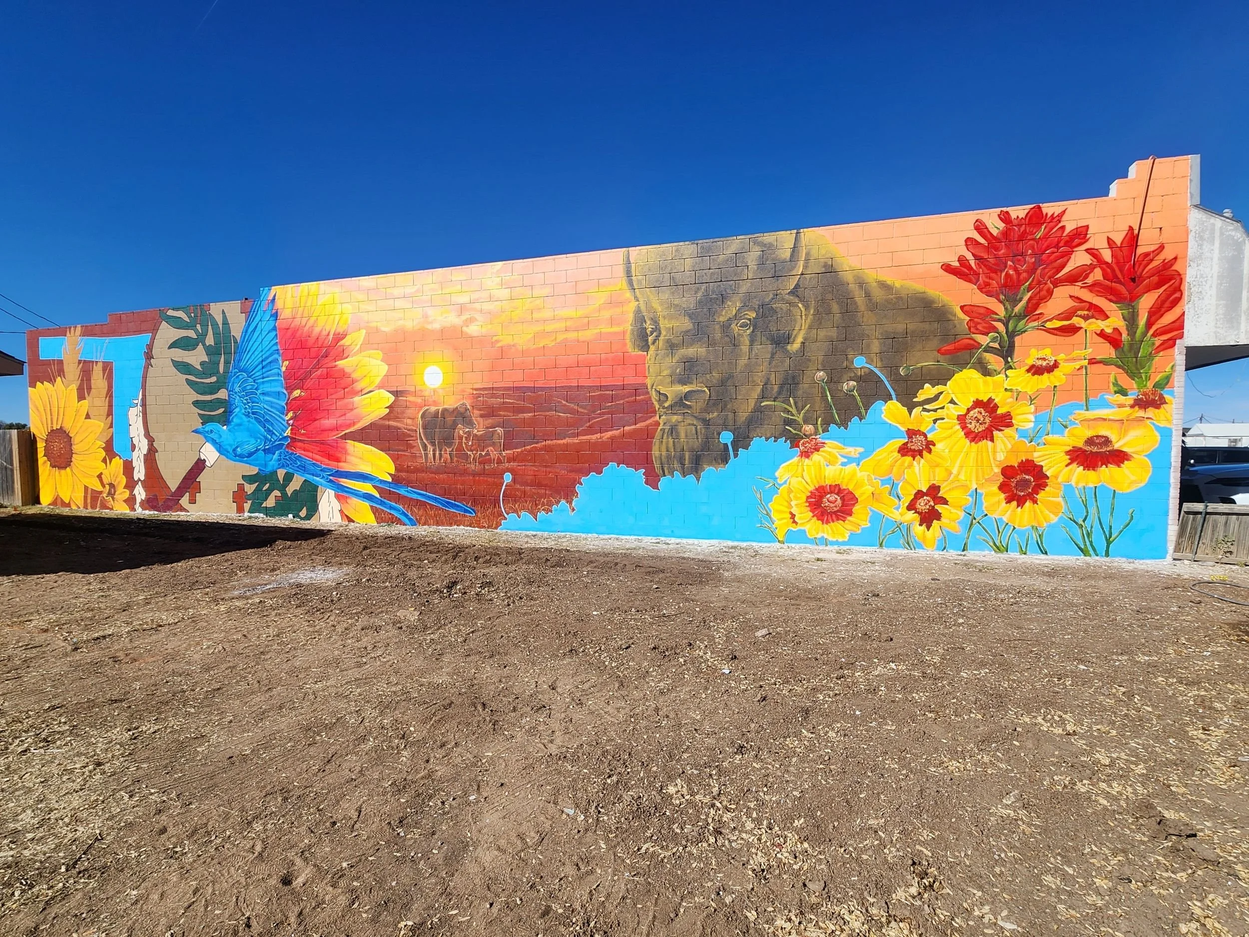 Land of Labor & Love
Guymon, OK
2025
Collab with Amber Andersen