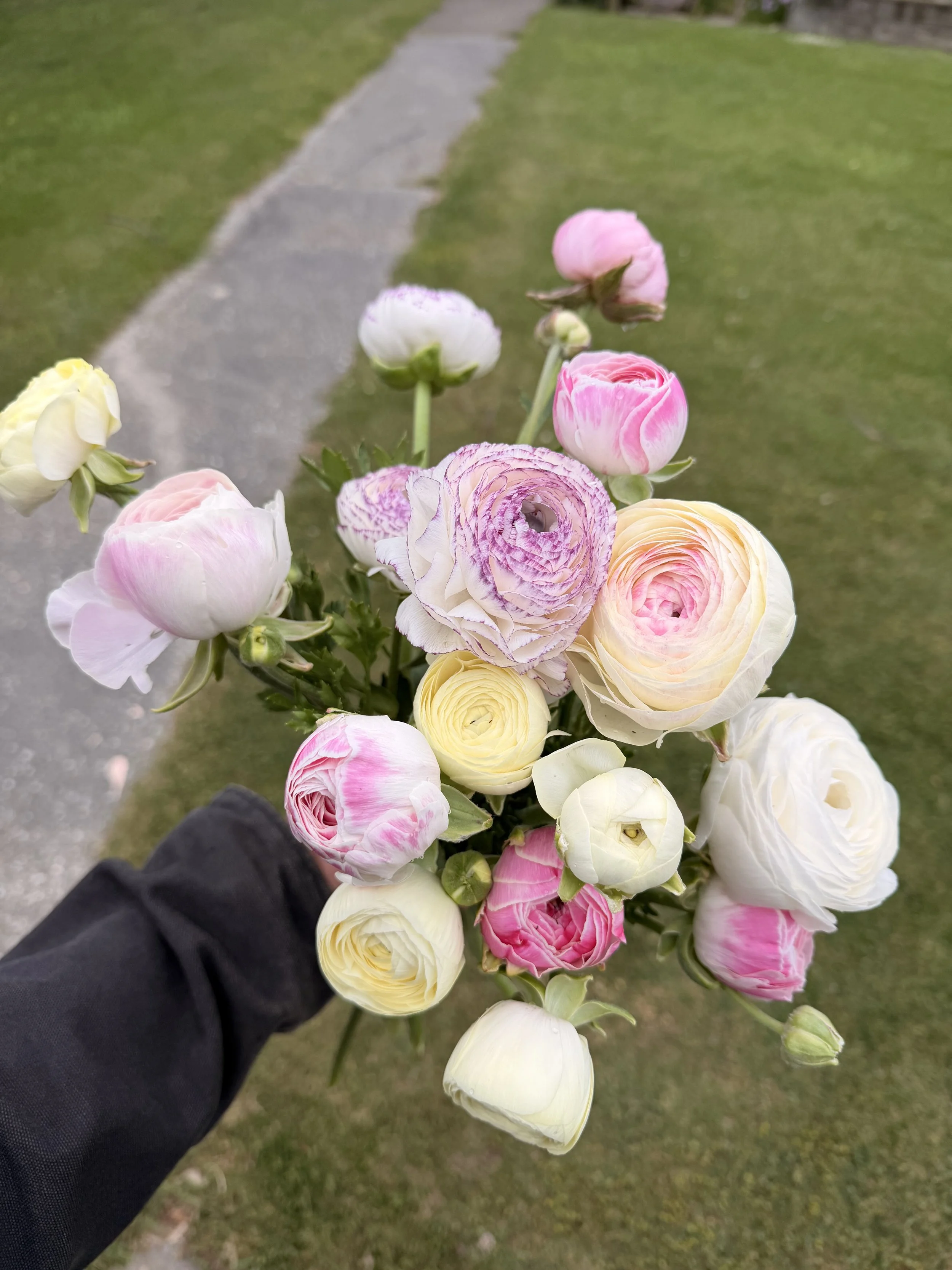IMG_8195.jpeg