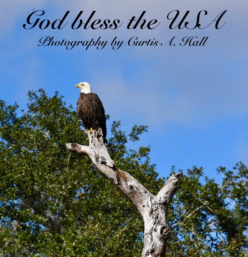 Bald Eagle.jpg