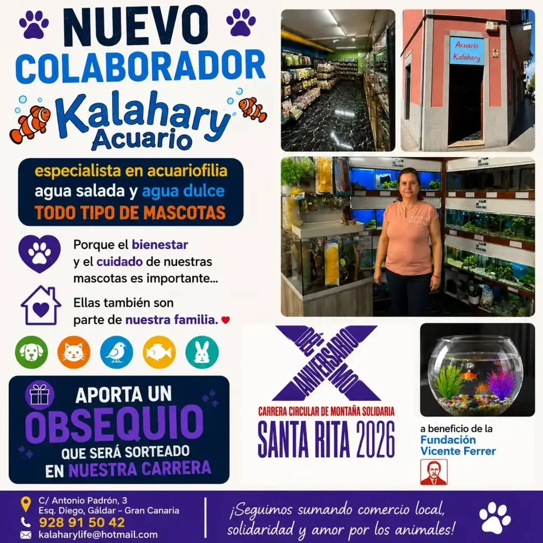 8-Colaboradores-Oficiales-Santa-Rita-Carrera-Solidaria-X-Edicion-2026.webp