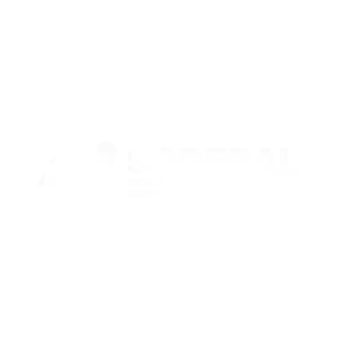 Proyecto de MP Digital con Sodepal impulsando el emprendimiento joven en La Palma